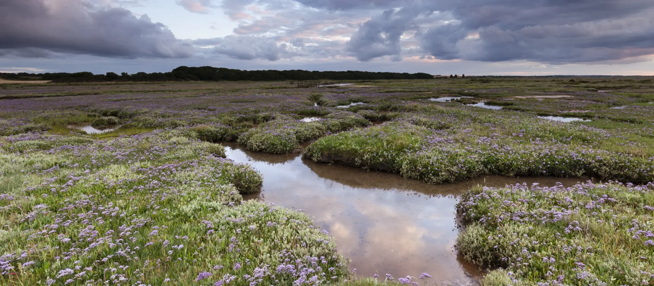 Marshes at stiffkey